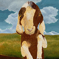 YAM Governor's Gallery - 2