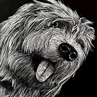 YAM Governor's Gallery - 3