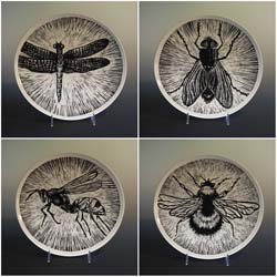 Bug Plates (set of 4)