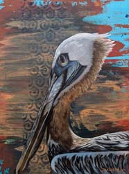 Pelican